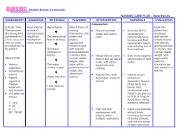 Pin On Nursing Process