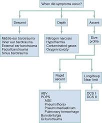 Image result for Inner Ear Decompression Sickness