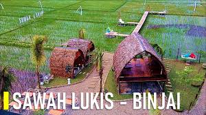 Sumatra utara merupakan salah satu pulau besar yang ada di indonesia, tapi taukah kamu jika di sumatera utara terdapat sebuah kota. Wisata Baru Binjai Sawah Lukis Youtube