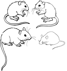 Preschool and kindergarten outline images of mice. Mice Colouring Pages Free Printable Images