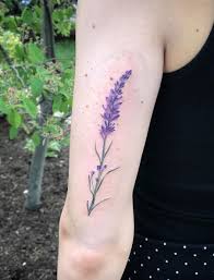 Lavender Sprig Tattoo Done By Ivy Lavelle Studio 85 Tattoo In Lebanon Ohio Lavender Tattoo Tattoos Black Tattoos
