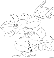 The homeland of orchids is considered to be tropical forests, where these plants feel great. Sophronitis Cernua Orchid Coloring Pages Flower Coloring Pages Coloring Pages For Kids And Adults
