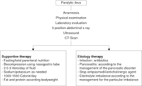 Image result for Adynamic Ileus