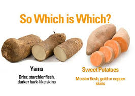 Yam Or Sweet Potato How Do You Know Which Is Which Farmers Almanac In 2020 Yam Or Sweet Potato Sweet Potato Yams