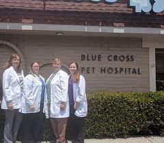 Sehen sie die ergebnisse für blue cross insurance in gunzenhausen Blue Cross Pet Hospital Small Veterinarians