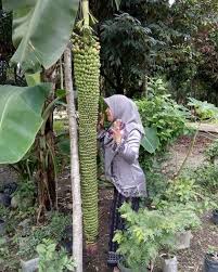 Pin Di Instagram