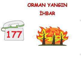 Jun 24, 2021 · 12:20 marmaris'te orman yangını! Acil Numaralar Icin 16 Fikir 2021 Okul Oncesi Okul Egitim