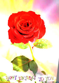 Did you send your lover the good morning wish? Download Free Picture Red Beautiful Rose Flower Happy Birthday Card On Cc By License Free Image Stock Torange Biz Fx 210936