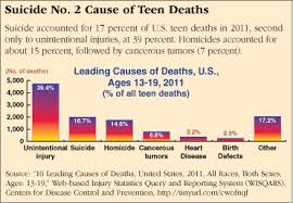 Résultat de recherche d'images pour "usa suicide rates graph xx century"