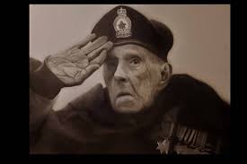 Touching scene with veteran inspires Victoria artist to paint Remembrance  Day series