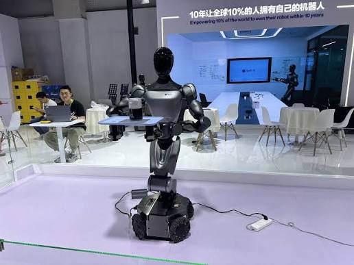 从"炫技"到"真干活" 人形机器人尚缺大脑和数据|聚焦