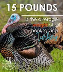Beltsvill small weights toms 20 lbs hens 12 lbs bourbon red tom 33 lbs hens 18 lbs De Dept Of Ag On Twitter Did You Know That The Average Weight Of A Turkey Purchased At Thanksgiving Is 15 Pounds And Of Those 15 Pounds Normally 70 Is White Meat