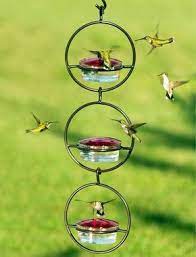 Don't worry if the bowl is deep, hummingbirds' tongues can reach up to 2.5! Pin By Gabriela Araya Z On Garden Ideas Glass Hummingbird Feeders Bird Feeders Humming Bird Feeders