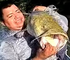 Catfish biting in Decatur: Bank and bait?