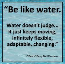 Be Like Water Water Doesn T Judge It Just Keeps Moving Infinitely Flexible Adaptable Changing Bears Barry Nei Choices Quotes Judgement Quotes Words