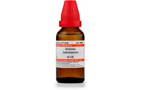 Image result for Vernonia anthelmintica