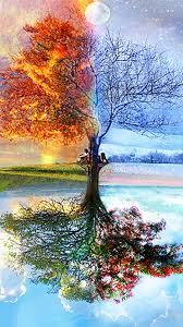 [Hình: images?q=tbn%3AANd9GcQhMcMW9Bbf1DoOhcfGd...g&usqp=CAU]