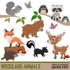 Doodles woodland set of animals and insects. Cartoon Forest Animals Clipart Cartoon On Net
