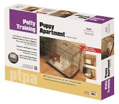 Just puppies is so much more than simply a puppy store. Modern Puppies Potty Training Puppy Puppy Training Potty Training Puppy Apartment