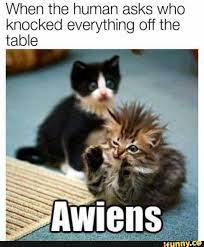 Pin On Funny Stuff