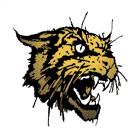 Tioga Varsity Football @ Leesville