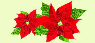 Encuentra ilustraciones de stock perfectas sobre flor de pascua en getty images. Con La Flor De Pascua Cancion Infantil De Navidad