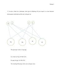Monohybrid cross is a type of hybridization experiment which involves the. Biology Assignment On Mice