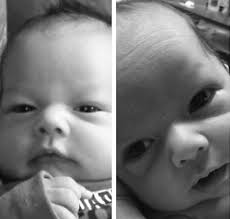 NN 11/20/2014 16 pages_Layout 1