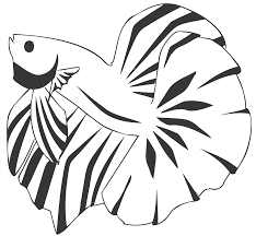 We did not find results for: Betta Fish Aquarium Tropical Tail Free Image From Needpix Com