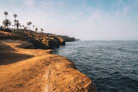 Check spelling or type a new query. San Diego Zoom Background