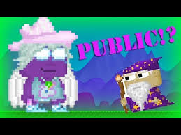 After that the screen look will look like this: Growtopia Public Legendary Wizard