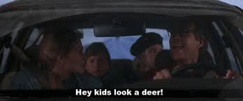 We did not find results for: Best Christmas Vacation Car Gifs Gfycat