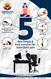 Pin On Canwinn Infographics