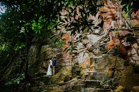 Friesian cattle are a breed known for their dairy production. Dairy Farm Singapore Pre Wedding Photography Roderick Nicole