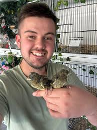 What an absolute joy to see 3 Greenfinch fledglings in the garden this  morning watched over by mum n dad very close by.. the nest was in one of my  shrubs,. lets