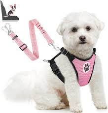 Amazon.com : Lukovee Dog Seat Belt for Car, Adjustable Dog Car Harness for  Large Medium Small Dogs, Soft Padded & Breathable Mesh Dog Seatbelt with  Car Strap and Carabiner(Pink Double Clip,XX-Small) :