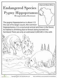 Endangered Species Pygmy Hippo Worksheet Education Com Endangered Animals Activities Endangered Species Activities Endangered Species