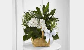 We have all kinds of beautiful bouquets, from mother's day we also offer sympathy & funeral flowers as well as get well flowers to help you show them how much you care. Buffalo Ny Flower Delivery Same Day 1st In Flowers