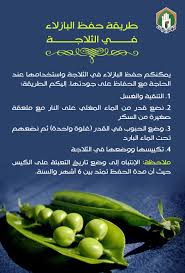 طريقة حفظ البازلاء والفول في الثلاجة kitchen recipes comfort food cooking