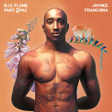 It debuted at number one upon its february release and would be certified quintuple. B I G Flume Part 2pac Jaymee Franchina