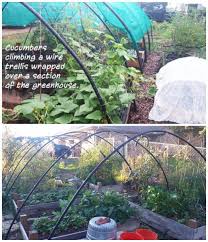 Check spelling or type a new query. 16 Pvc Greenhouse Plans Help You To Build A Cheap Greenhouse