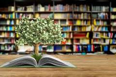 Best Investments for Beginners (2023) | TIME Stamped