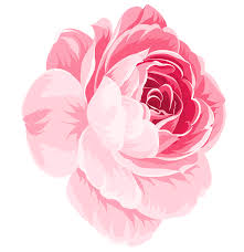 The Rose Rose Art Print By Tamzar X Small Rose Painting Flower Drawing Flower Painting