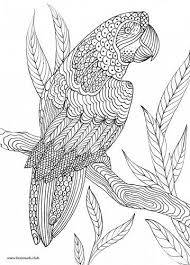Pin On Mandala Coloring Books