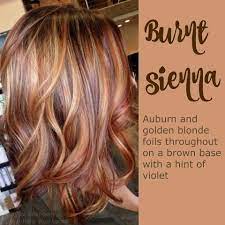 Burnt Sienna Hair Styles Hair Color Auburn Auburn Balayage