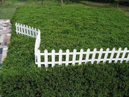 Maybe you would like to learn more about one of these? Garden Fence Ideas That Truly Creative Inspiring And Low Cost Diy Cheap Vegetable Pvc Small Garden Fence Small Garden Fence Ideas Diy Garden Fence