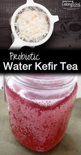 Site Search Discovery Powered By Ai Kefir Recipes Kefir Flavors Water Kefir