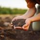 Compost, Soil and Mulch