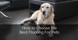 We put a laminate in the bedroom and it took weeks before we stopped hearing the 'click click. How To Choose The Best Flooring For Pets Luxury Home Remodeling Sebring Design Build