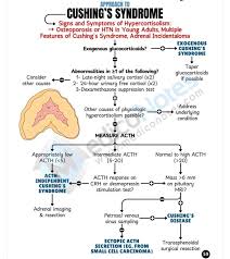 Image result for Cushing Response